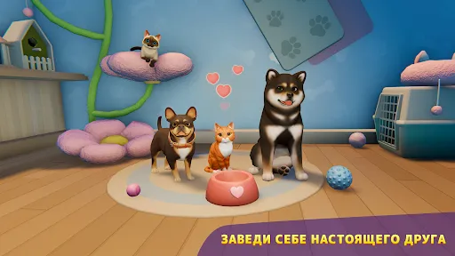 Скриншот 7 — Sunday City