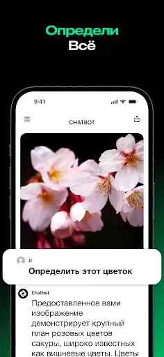 Скриншот 6 — Chatbot - Smart AI Assistant