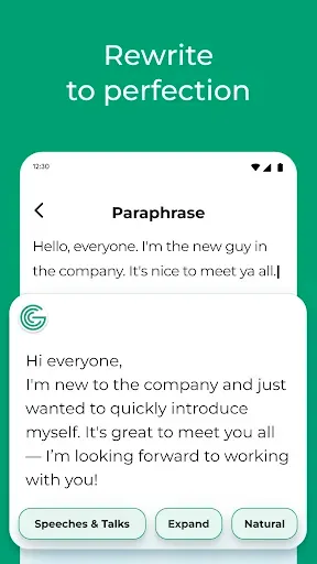 Скриншот 2 — Grammar Check by AI Writing