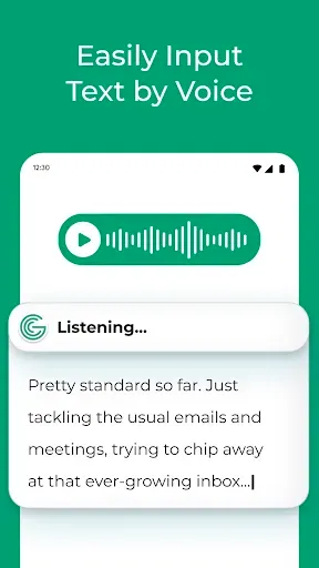 Скриншот 4 — Grammar Check by AI Writing