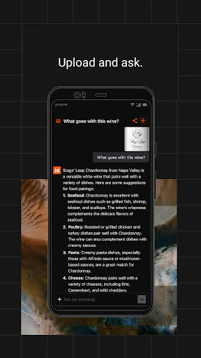 Скриншот 4 — Le Chat by Mistral AI