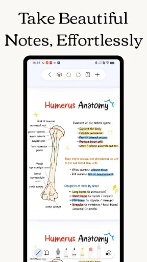 Скриншот 1 — Freenotes - Notes Taking & PDF