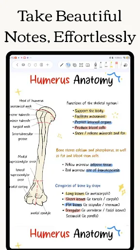 Скриншот 7 — Freenotes - Notes Taking & PDF