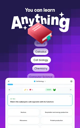 Скриншот 6 — Gizmo: AI Flashcards and Tutor