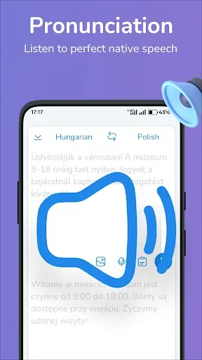 Скриншот 7 — Hungarian-Polish translator