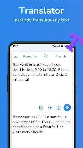 Скриншот 1 — Romanian-French translator