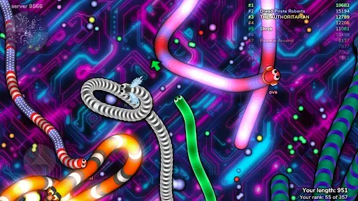 Скриншот 3 — slither.io