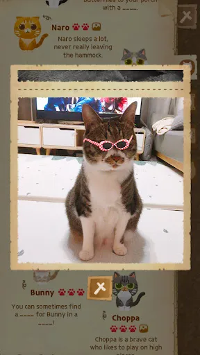 Скриншот 6 — Secret Cat Forest