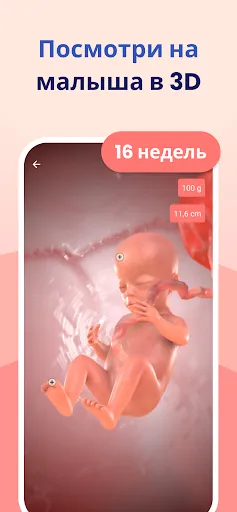 Скриншот 2 — HiMommy: трекер беременности