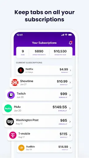 Скриншот 4 — Subscription Stopper & Manager