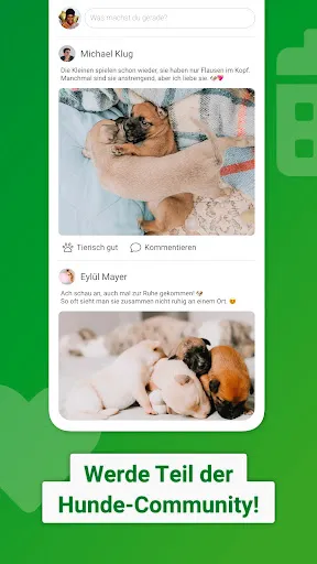 Скриншот 4 — Dogorama – Die Hunde-Community