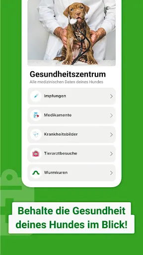 Скриншот 8 — Dogorama – Die Hunde-Community