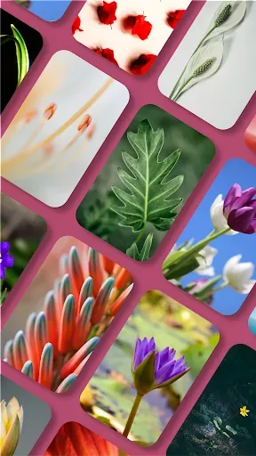 Скриншот 5 — Pix Launcher – Pixel Style UI