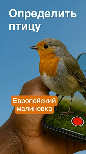 Скриншот 1 — Определитель птиц - Birdby