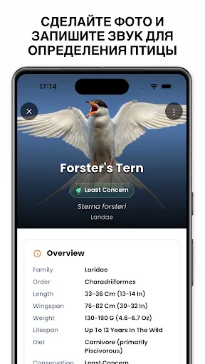 Скриншот 3 — Определитель птиц - Birdby