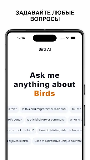 Скриншот 4 — Определитель птиц - Birdby
