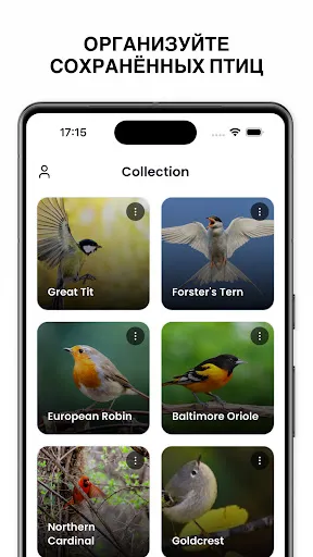 Скриншот 7 — Определитель птиц - Birdby