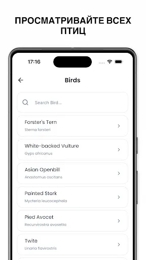 Скриншот 8 — Определитель птиц - Birdby
