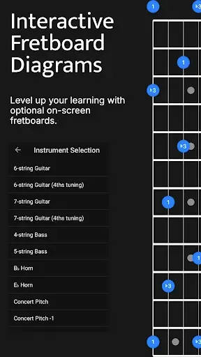 Скриншот 3 — Solo - Fretboard Visualization