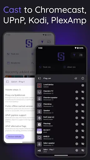 Скриншот 5 — Symfonium: Music player & cast