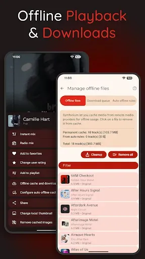 Скриншот 6 — Symfonium: Music player & cast