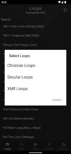 Скриншот 4 — XME LOOPS