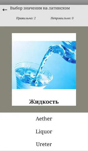 Скриншот 2 — Основы Латинского языка