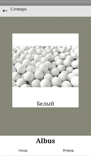 Скриншот 3 — Основы Латинского языка