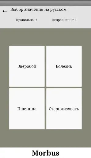 Скриншот 5 — Основы Латинского языка