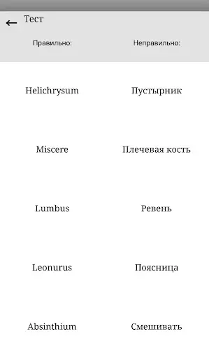 Скриншот 6 — Основы Латинского языка