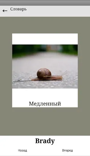 Скриншот 7 — Основы Латинского языка