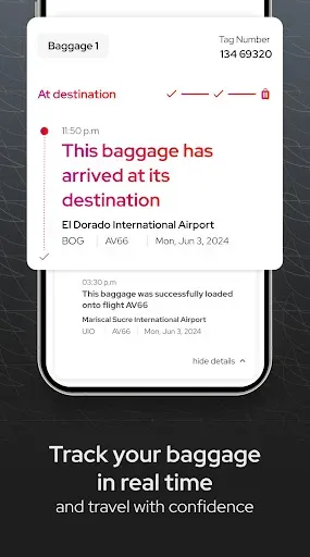Скриншот 4 — avianca