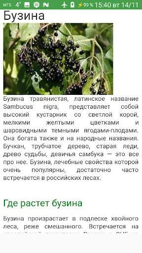Скриншот 3 — Справочник лекарственных трав