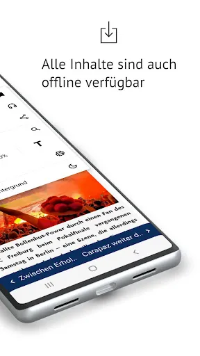 Скриншот 7 — Badische Zeitung