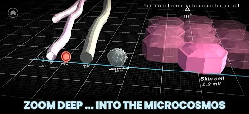 Скриншот 2 — Univerzoom 3D - Explore Scale