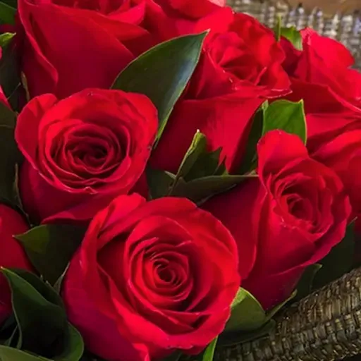 Скриншот 4 — Beautiful Flowers & Roses Pics