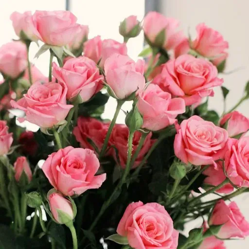 Скриншот 6 — Beautiful Flowers & Roses Pics