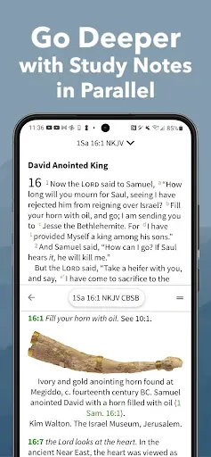 Скриншот 2 — Bible App by Olive Tree