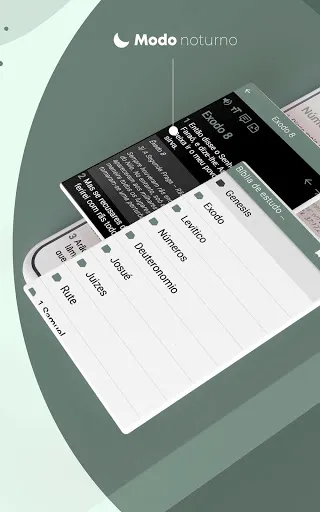 Скриншот 8 — Bíblia de estudo
