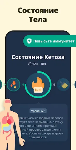 Скриншот 3 — Интервальное Голодание