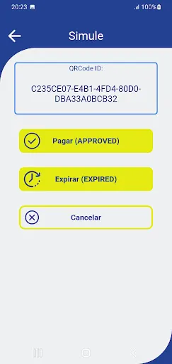 Скриншот 4 — PIXnoPDV Simulate