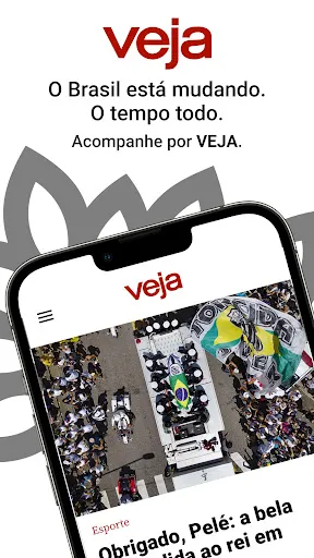Скриншот 1 — VEJA