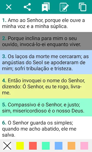Скриншот 1 — Bíblia Sagrada Estudos