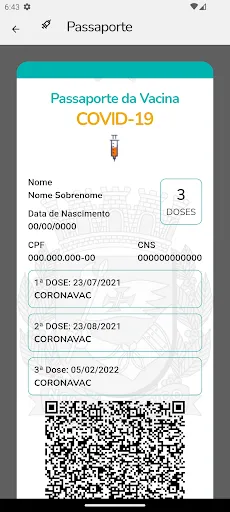 Скриншот 3 — e-saudeSP