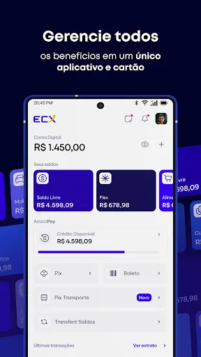 Скриншот 2 — Ecx Pay