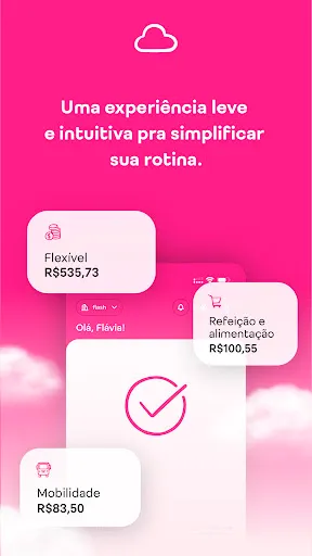 Скриншот 8 — Flash | Benefícios e Despesas
