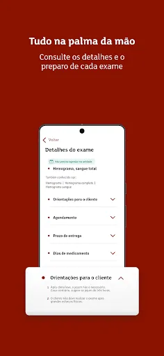 Скриншот 2 — Felippe Mattoso