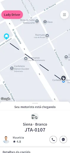 Скриншот 3 — Lady Driver