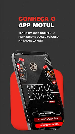 Скриншот 1 — Motul Expert