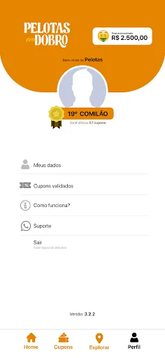 Скриншот 4 — Pelotas em Dobro